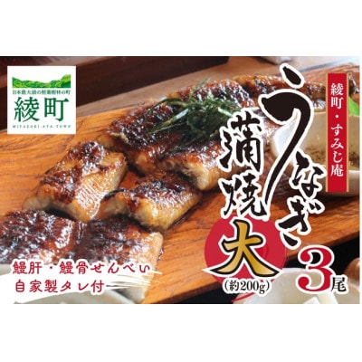 うなぎ蒲焼(大)3尾