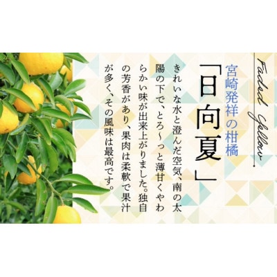 今が旬‼日向夏(種なし)2.5kg