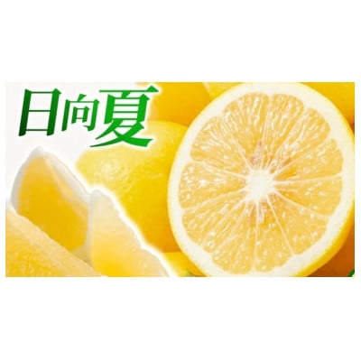 今が旬‼日向夏(種あり)2.5kg