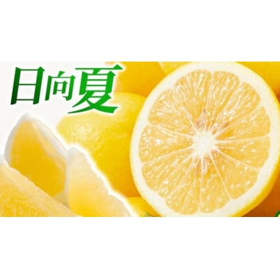 紅日向夏&日向夏(種少なめ)2.5kg