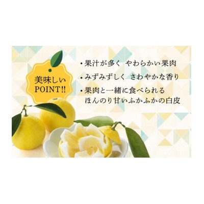 紅日向夏&日向夏(種少なめ)2.5kg