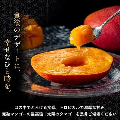 太陽のタマゴ 5L 約600g