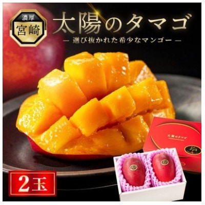 太陽のタマゴ 2玉