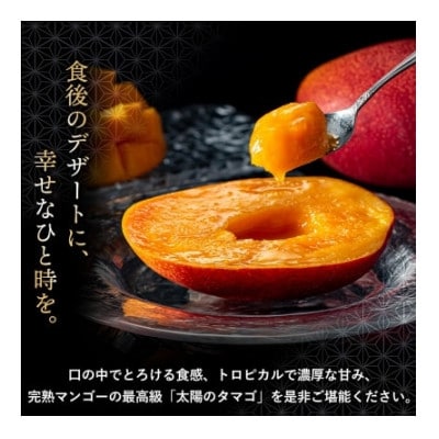 太陽のタマゴ 2玉