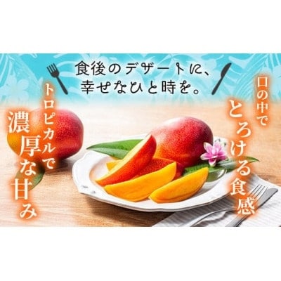 完熟マンゴー 2L 2玉