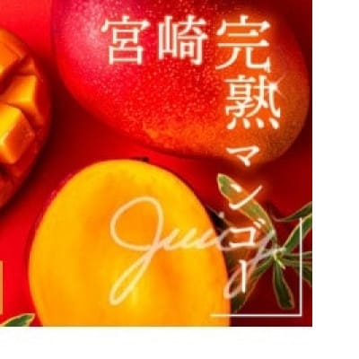 完熟マンゴー 2玉 化粧箱