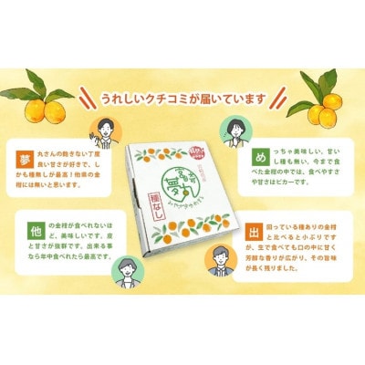 きんかん「宮崎夢丸」1kg