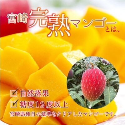 完熟マンゴー(約250g～300g)&生ライチ(約200g)セット