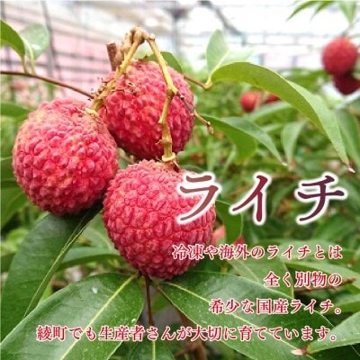 綾町産生ライチ 2種食べ比べセット(200g×2パック)