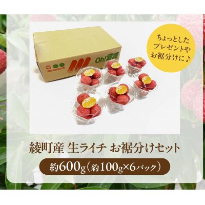 生ライチ お裾分け6パックセット