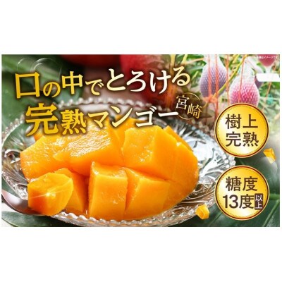 完熟マンゴー　2L×4パック
