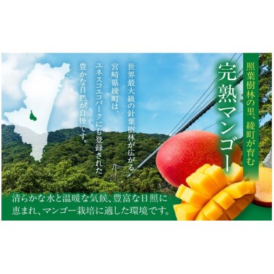 完熟マンゴー　2L×4パック