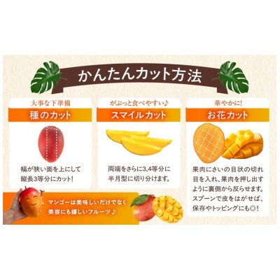 完熟マンゴー　2L×4パック