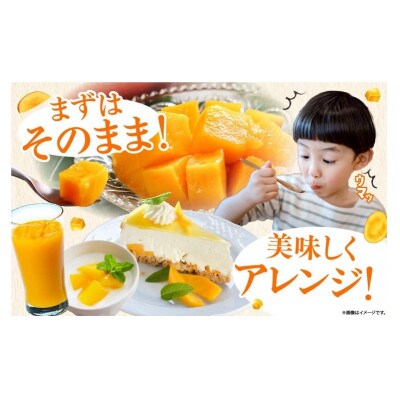 完熟マンゴー　2L×4パック