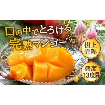 完熟マンゴー　2L×9玉