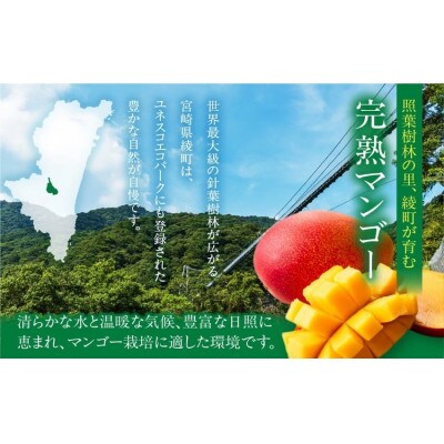完熟マンゴー　2L×9玉