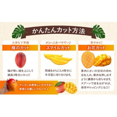 完熟マンゴー　2L×9玉