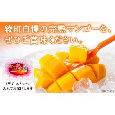 【訳あり!!】完熟マンゴー　2L×2パック
