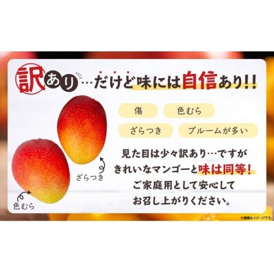 【訳あり!!】完熟マンゴー　2L×2パック