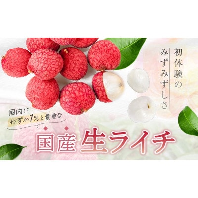 綾産　生ライチ大粒2Lサイズ