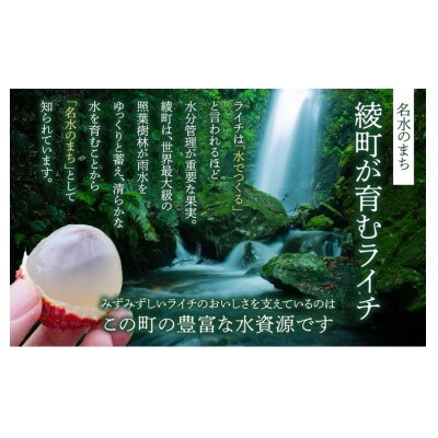 綾産　生ライチ大粒2Lサイズ