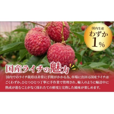 生ライチ　8パック