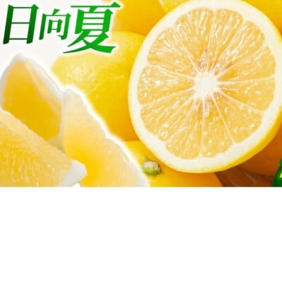 日向夏(種なし) 2.5kg×2箱