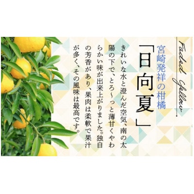 日向夏(種が少ない) 2.5kg×2箱