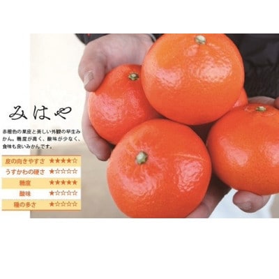 みはや　2kg
