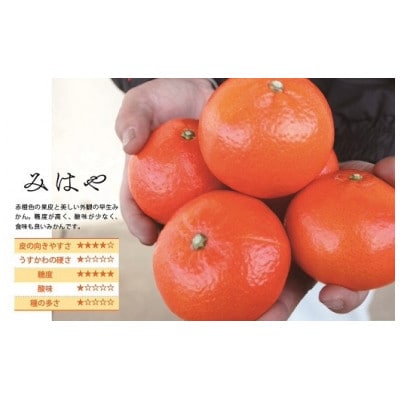 訳ありみはや　5kg