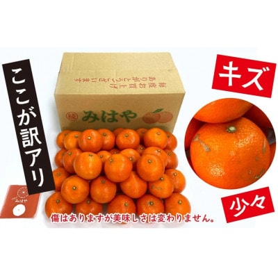 訳ありみはや　5kg