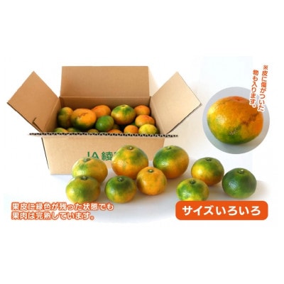 ゆら早生みかん2.5kg