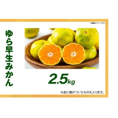 ゆら早生みかん2.5kg