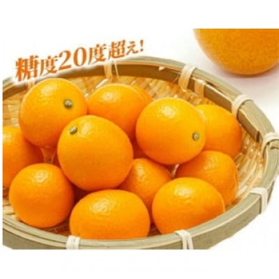 金柑『夢丸』　1kg×2箱