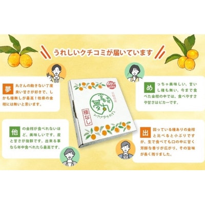 金柑『夢丸』　1kg×2箱