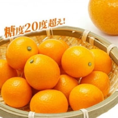 金柑『夢丸』(厳選大粒)　1kg