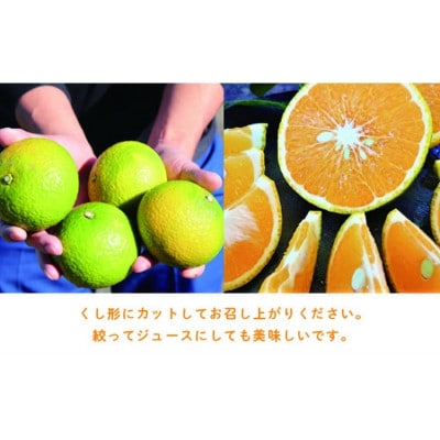 スイートスプリング　10kg
