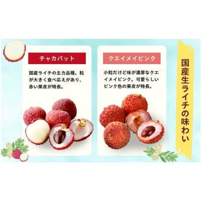 綾ライチ2箱セット(チャカパット・クエイメイピンク)