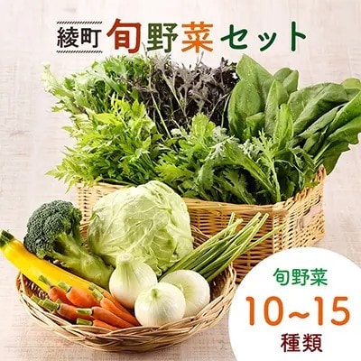 【毎月定期便】綾町旬野菜ギフト Lサイズ全12回