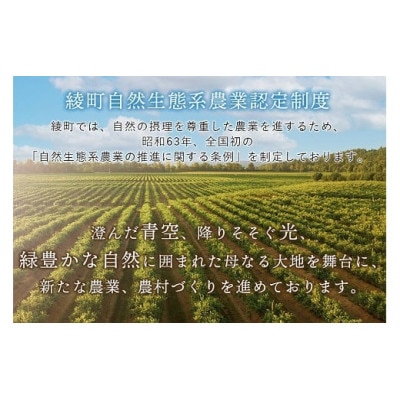 【毎月定期便】綾町旬野菜ギフト Lサイズ全12回