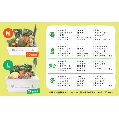 【毎月定期便】綾町旬野菜ギフト Lサイズ全12回