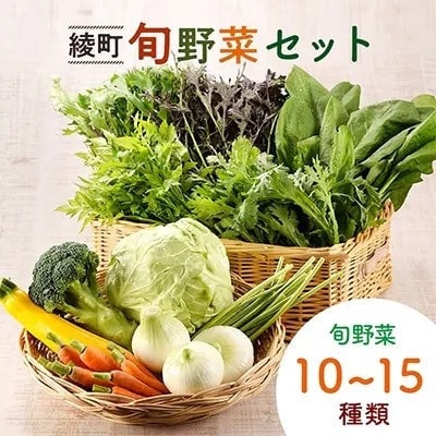 【毎月定期便】綾町旬野菜ギフト Lサイズ全6回