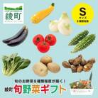 【毎月定期便】綾町旬野菜ギフト Sサイズ全6回