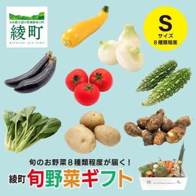 【毎月定期便】綾町旬野菜ギフト Sサイズ全3回