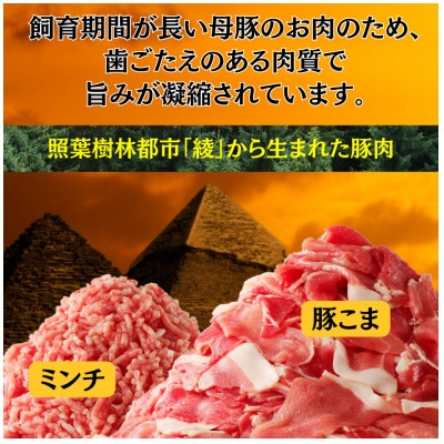 綾産母豚 こま切れ&ミンチセット　7kg