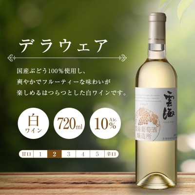 「雲海葡萄酒醸造所」マスカット・ベーリーA赤・デラウェア白　「赤白ワイン飲み比べセット」(綾町)