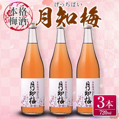 【雲海酒造】国産梅100%使用　本格梅酒「月知梅」720ml×3本　合計2160ml(綾町)