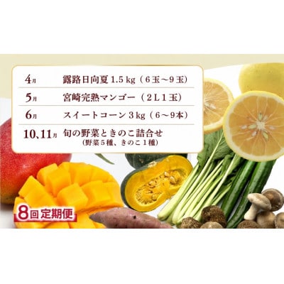 【発送月固定定期便】果物・野菜定期便【X20】(綾町)全8回
