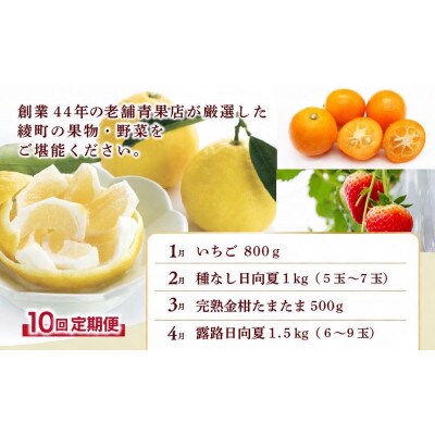【発送月固定定期便】果物・野菜定期便【X21】全10回