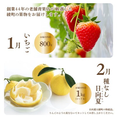 【発送月固定定期便】果物定期便【X22】(綾町)全6回